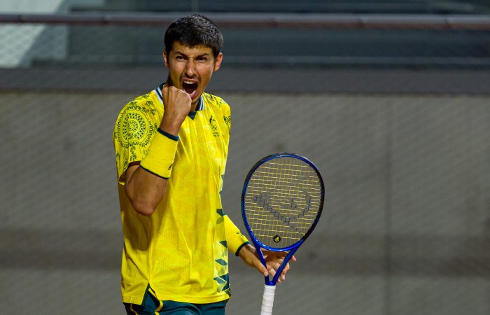 英国网球队翻盘澳大利亚网球队，瓦林卡高光表现的简单介绍