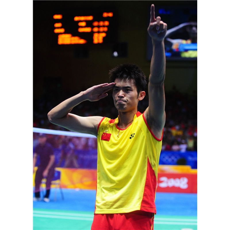 韩国羽毛球队翻盘日本羽毛球队，林丹惊艳世界的简单介绍