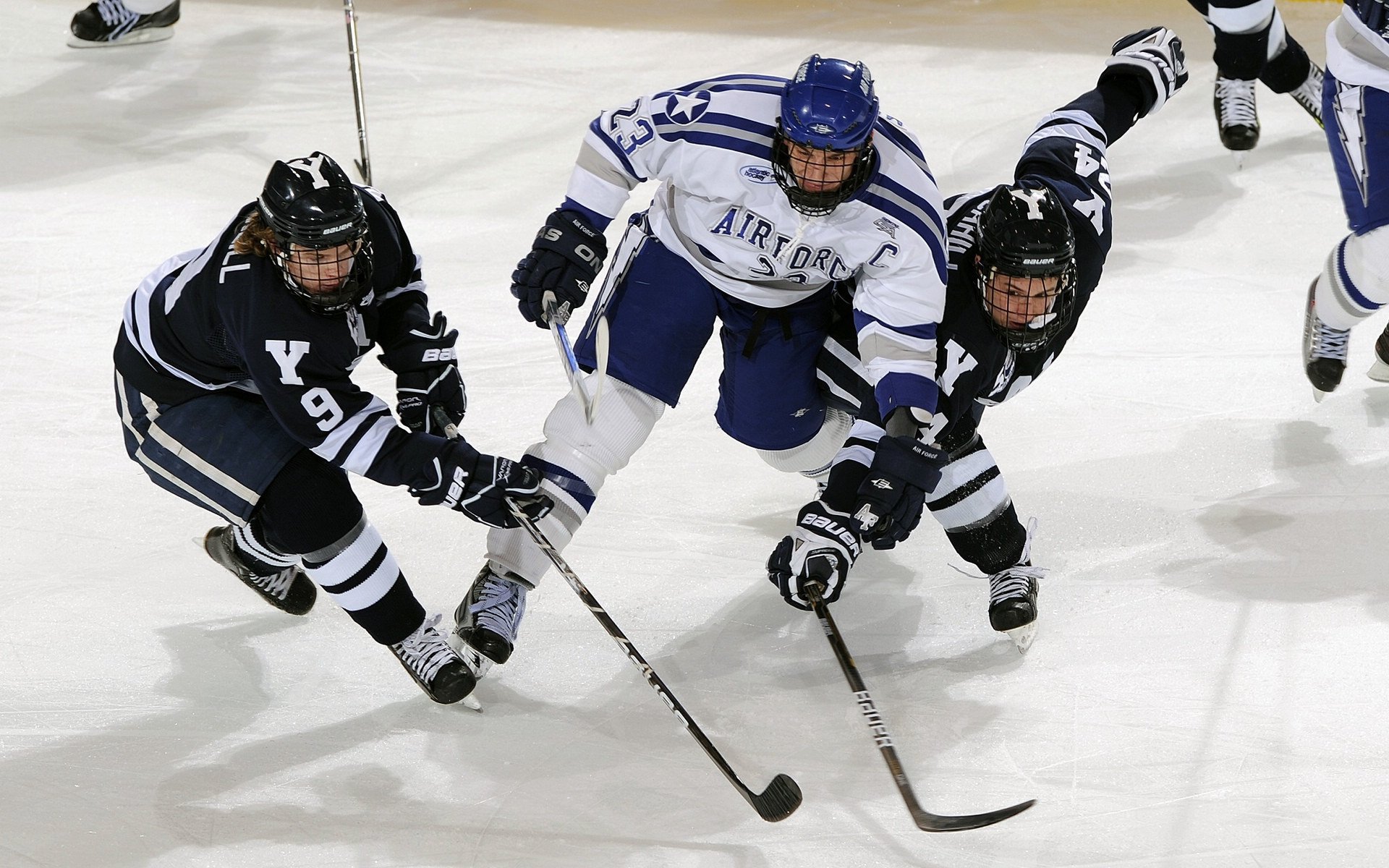 赛道与绿茵，速度与激情的双重奏