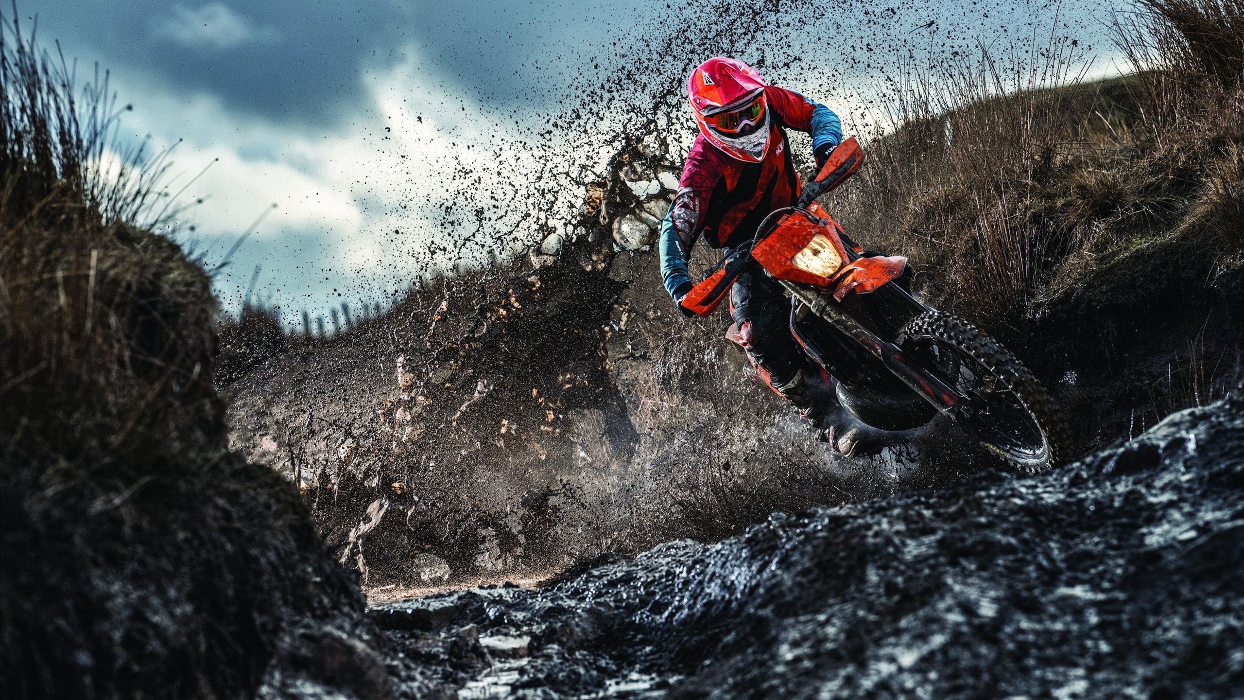 梁靖崑统治全场，波兰队完胜瑞典队背后的战术革命